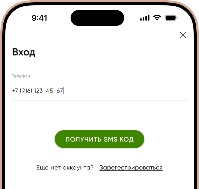 Экран входа в приложение